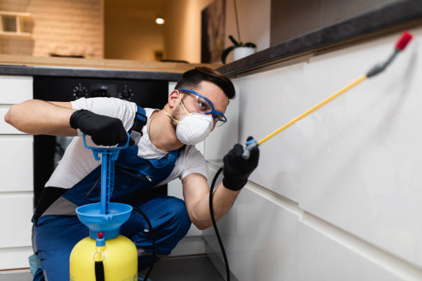Best Affordable Pest Control Services  in Halawa, HI