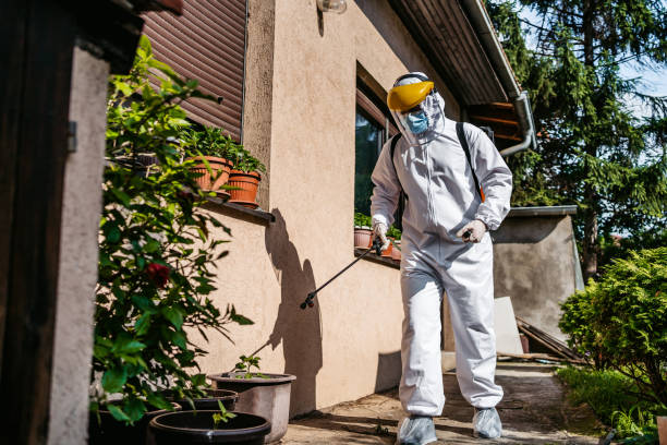 Best Local Pest Control Services  in Halawa, HI