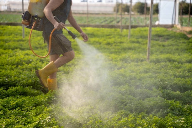 Best Pest Inspection Near Me  in Halawa, HI