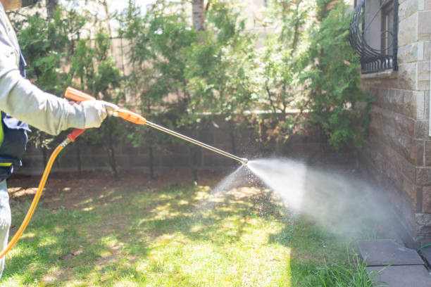 Best Mosquito Control Services  in Halawa, HI